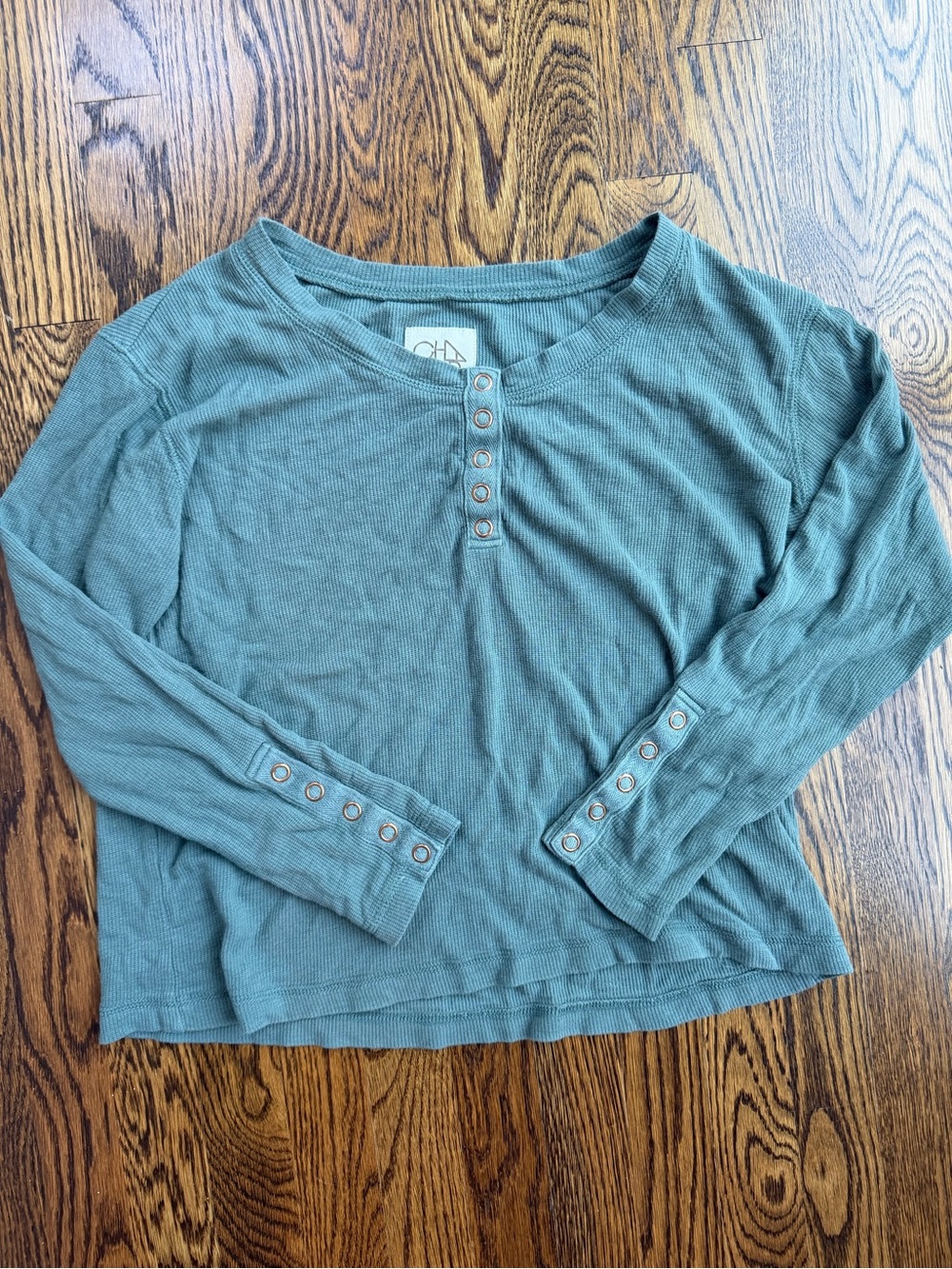 Chaser Fall Cozy Long-Sleeve Henley Neutral Grunge Top in Sage Green